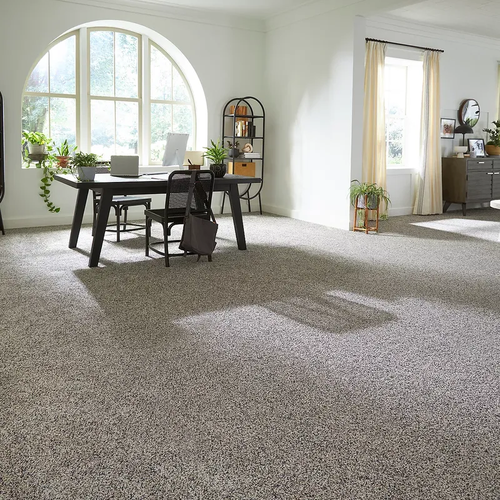 All Pet® is backed by our Pet® Protection & Warranty