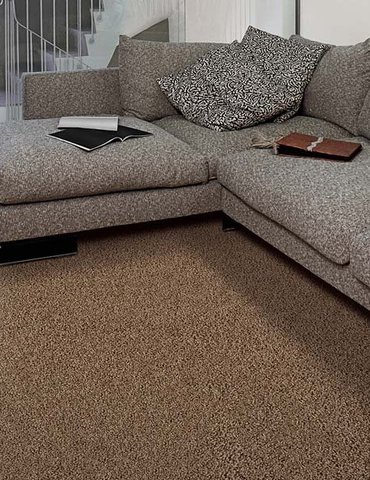 Contemporary carpet in Maryville, TN from Johnson & Sons Flooring