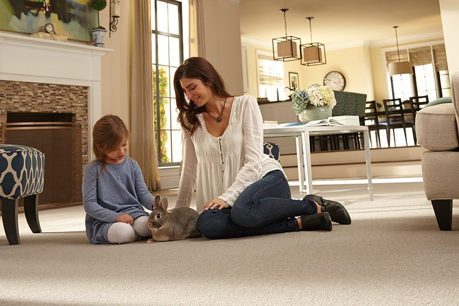 Stylish carpet in Powell, TN from Johnson & Sons Flooring