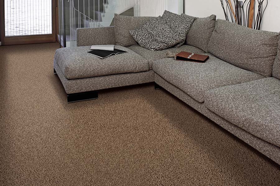 Contemporary carpet in Maryville, TN from Johnson & Sons Flooring