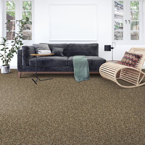 Johnson & Sons Flooring providing easy stain-resistant pet proof carpet in Knoxville, TN - Elegant Balance I